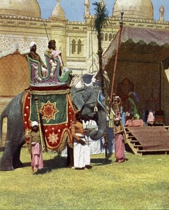 India Indian Prince Elephant Old Autochrome on Paper from Hans Hildenbrand 1910