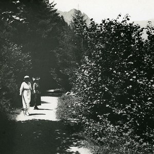 France Pyrenees Cauterets Undergrowth Old Possemiers Stereo Photo 1910