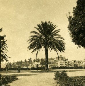 Italy Roma Palatine Hill Place Old NPG Stereo Stereoview Photo 1900