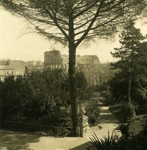 Italy Roma Colosseum Coliseum view from Palatine Hill Old NPG Stereo Photo 1900