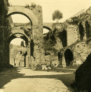 Italy Roma Palatine Hill Palace of Settimio Severo Old NPG Stereo Photo 1900