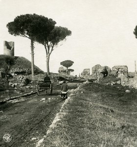 Italy Roma Via Appia Panorama Old NPG Stereo Stereoview Photo 1900