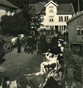 Norway Fjord Square Trade Market Old NPG Stereo Stereoview Photo 1900