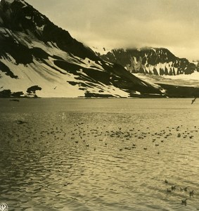 Norway Green Harbour Eisfjord Old NPG Stereo Stereoview Photo 1900