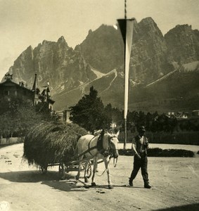 Italy Alps Dolomites Peasant in Cortina Street Old NPG Stereo Photo 1900