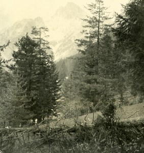 Italy Alps Dolomites Arouund Carbonin Old NPG Stereo Stereoview Photo 1900