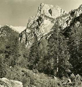 Italy Alps Dolomites of Sesto Croda dei Baranci Old NPG Stereo Photo 1900