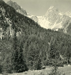 Italy Alps Tyrol Antholz Mittertal Hochgall Old NPG Stereo Stereoview Photo 1900