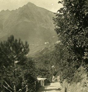 Italy Alps Trentin Merano Tapeinerpromenade Old NPG Stereo Stereoview Photo 1900