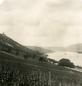 Germany Rhine River Burg Sooneck Old NPG Stereo Stereoview Photo 1900