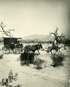 Argentina Diligence Stage-Coach in Pampa Old NPG Stereo Stereoview Photo 1900