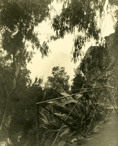 Chile Santiago Public Garden Old NPG Stereo Stereoview Photo 1900