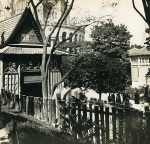 France Paris World Fair White Elephant Old Stereoview Photo SIP 1900