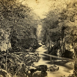 UK North Wales Betws-y-Coed Fors Nodbyn Old Stereoview Photo Bedford 1865