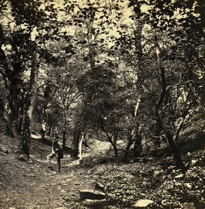 UK Clifton Nightingale Valley Old Stereoview Photo Bedford 1865