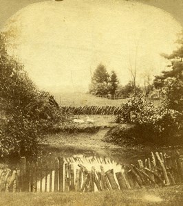 United Kingdom English Countryside Landscape Old Stereoview Photo 1860