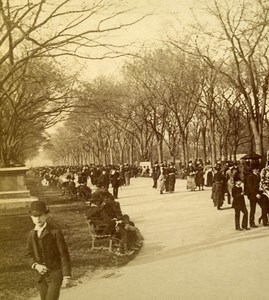 USA New York Central Park The Mall Old Stereoview Photo Campbell 1896