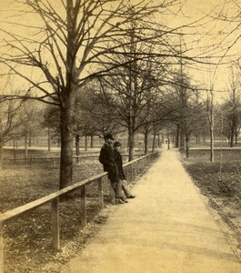 USA Boston Long Path Park Trees Old Stereoview Photo 1875