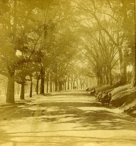 USA Boston Public Garden Beacon St Mall Old Stereoview Photo Baker 1875