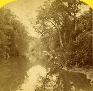 USA Pennsylvania Wissahickon Creek Stereoview Photo Purviance 1875