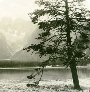 Italy South Tyrol Mountain Durrensee Landro Old Anonymous Stereoview Photo 1900