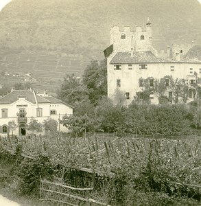 Italy South Tyrol Alps Merano Schloss Forst Castle Old Stereoview Photo NPG 1900