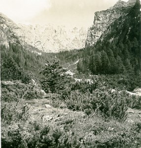 Italy South Tyrol Mountain Ampezzo Road Birkental Old Stereoview Photo NPG 1900