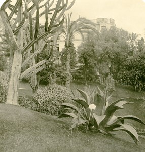 France French Riviera Monte Carlo Casino Gardens Old Stereoview Photo NPG 1900