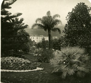 France French Riviera Monte Carlo Casino Gardens Old Stereoview Photo 1900