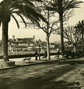 France French Riviera Cannes Croisette Old Stereoview Photo NPG 1900