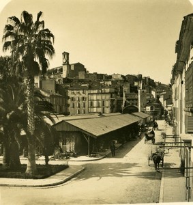 France French Riviera Cannes Cannes Market Place Old Stereoview Photo NPG 1900