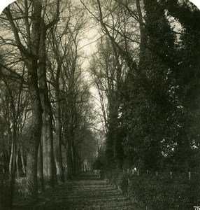 Italy Firenze Gardens Parco delle Cascine Old Stereoview Photo NPG 1900