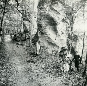 Belgium undergrowth in Ardennes Forest Amateur Stereoview Photo Possemiers 1900