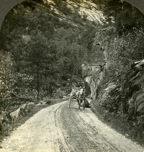 Norway road to Vossvagen Vossevangen Voss Horse Old Stereoview Photo Kelley 1900