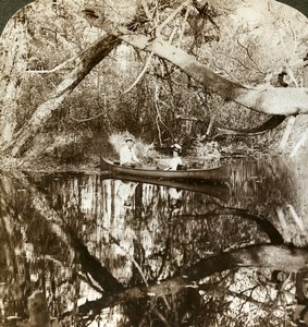 Canada Ontario Rosseau Muskoka Shadow River Old Stereoview Photo Underwood 1901