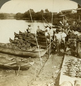 Panama Bananas Indian Market Chagres River Old Stereoview Photo Underwood 1904