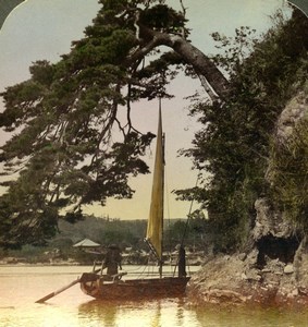 Japan Matsushima Bay Pine & Sailboat Old Stereoview Photo Underwood 1904