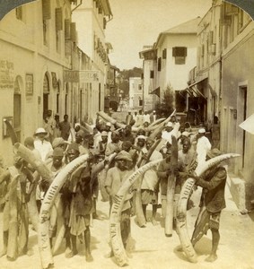 East Africa Kenya Mombasa Ivory for New York Old Stereoview Photo Underwood 1909