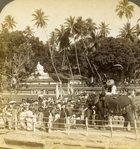 Ceylon Kandy Elephant procession Buddhist temple Stereoview Photo Underwood 1903