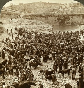 Palestine Jerusalem Pool of Gihon Cattle Market Stereoview Photo Underwood 1900