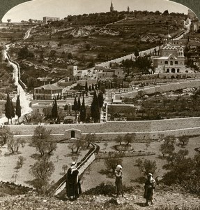 Palestine Jerusalem Gethsemane Mount of Olives Stereoview Photo Underwood 1899