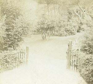 France French Riviera around Nice Park Old Amateur Stereoview Photo Pourtoy 1900