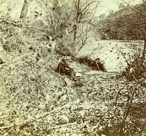 France French Riviera Forest Walk Old Amateur Stereoview Photo Pourtoy 1900