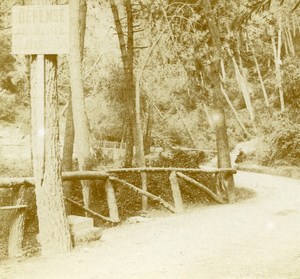 France French Riviera around Nice Road Old Amateur Stereoview Photo Pourtoy 1900