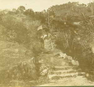 France French Riviera Nice Countryside Amateur Stereoview Photo Pourtoy 1900