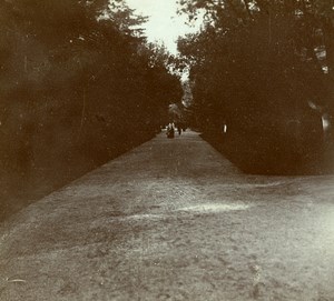 France French Riviera around Nice Trees Amateur Stereoview Photo Pourtoy 1900