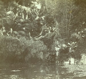 France French Riviera around Nice Lake Old Amateur Stereoview Photo Pourtoy 1900