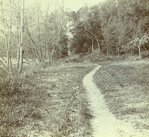 France French Riviera Nice Countryside Old Amateur Stereoview Photo Pourtoy 1900