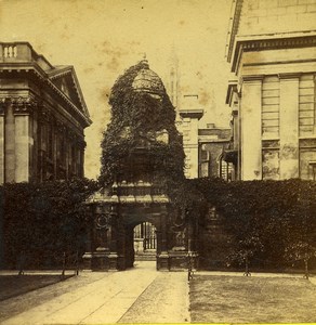 United Kingdom Cambridge Gate of Honour Caius Court Old Stereoview Photo 1865