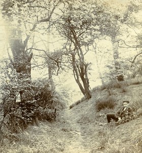 United Kingdom Riversvale Warwick Rainbow Forest Old Stereoview Photo 1903